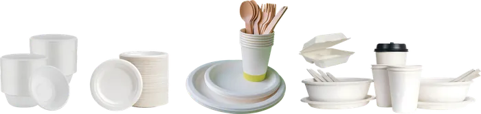 White and natural sugarcane bagasse bowls, plates, cups, clamshell boxes and cutlery