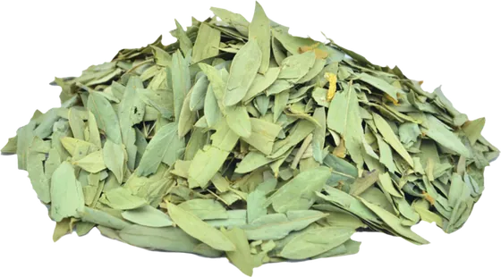 A pile of dried green senna leaves